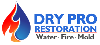 (c) Dryproexperts.com