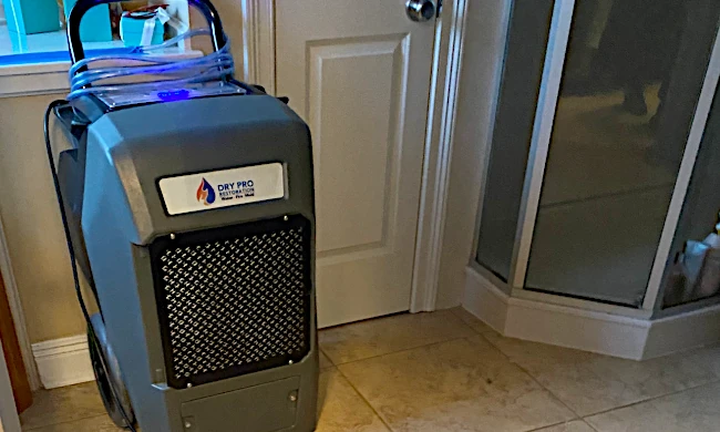 Water Damage Repair Remediation Metairie